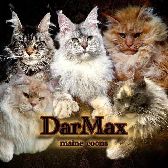 39279937 95dd 45ae bc9c e4d94d37108f