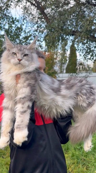 WhatsApp Image 2026-01-31 at 6.16.33 AM